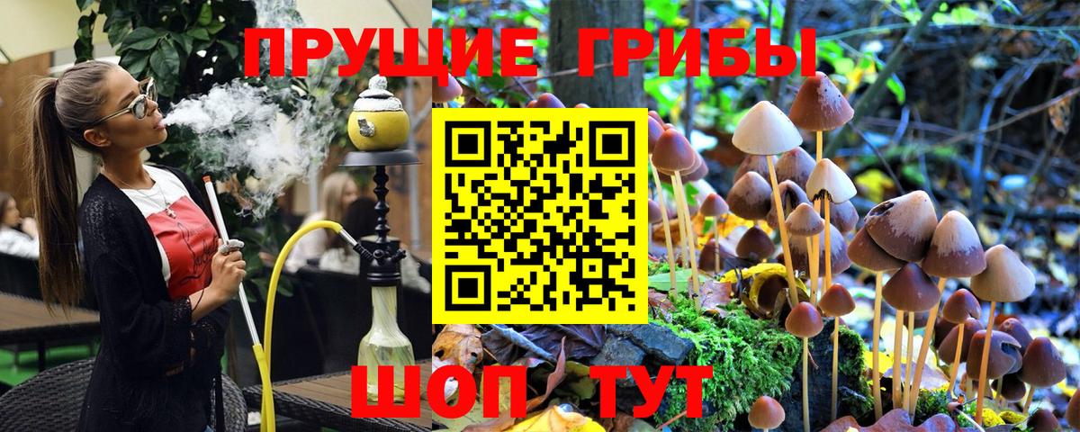 Псилоцибиновые грибы GOLDEN TEACHER  Галлюциногенные грибы Cubensis  Нарткала  цена   Вход с VPN 