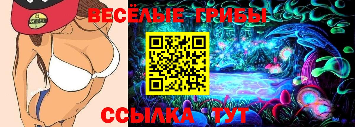Псилоцибиновые грибы Psilocybine cubensis Нарткала